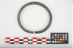 Foto von Bronzearmreif (NHMW-PRAE-025929)